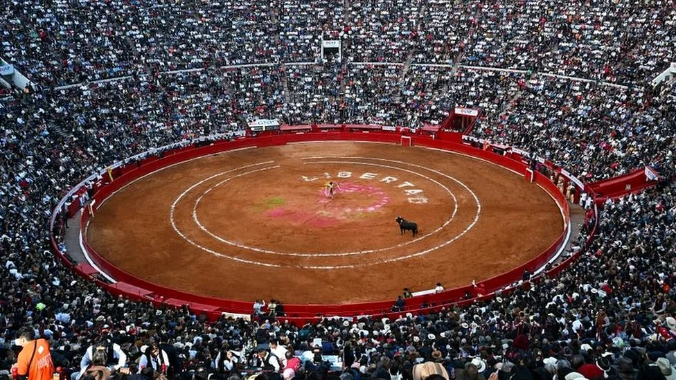 Banner reading 'Stop Animal Cruelty' prominently displayed at an animal rights sit-in in Mexico.