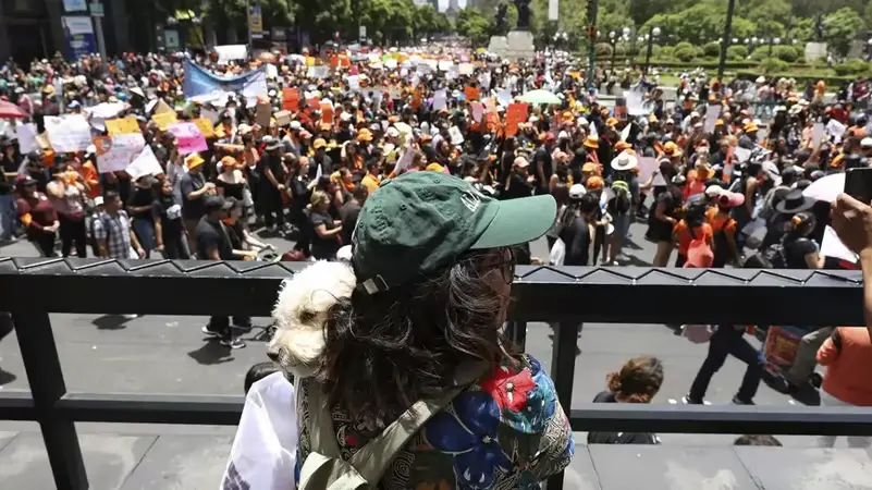 A diverse group of supporters gathering for an animal rights protest on the streets of a Mexican seaside town.
