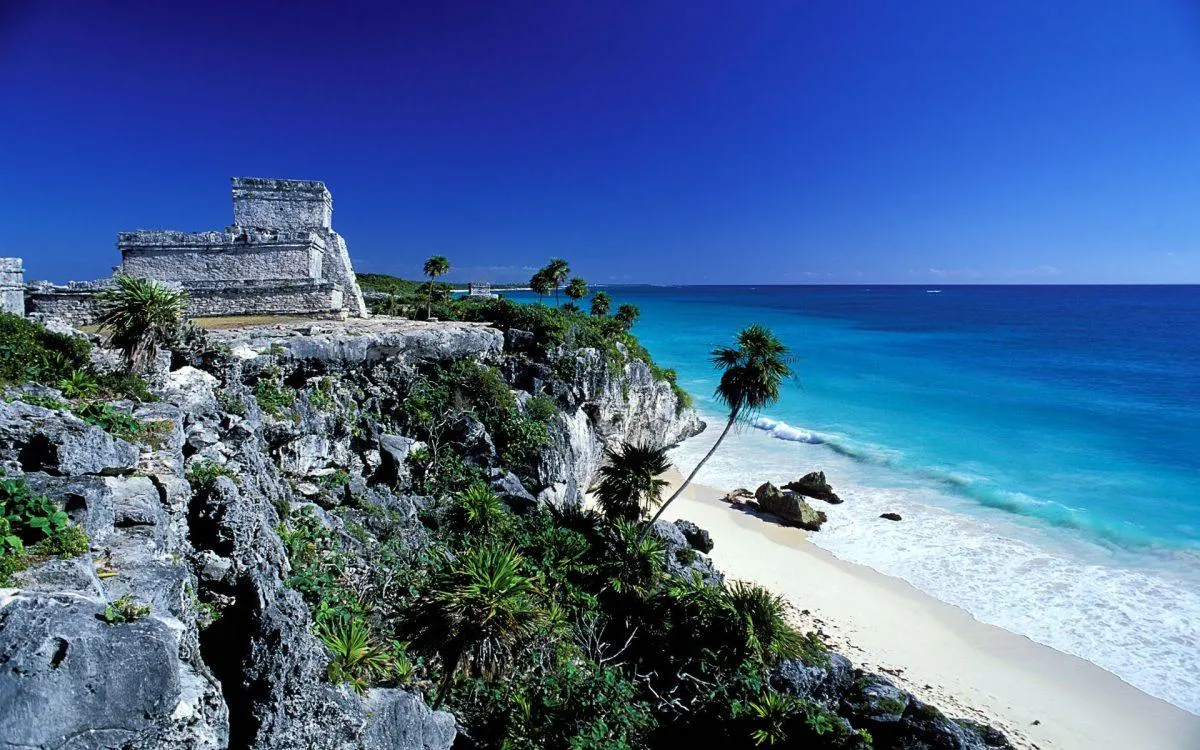 Crystal clear waters of a cenote surrounded by lush jungle in Tulum