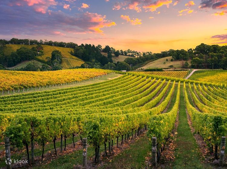 Adelaide Hills
