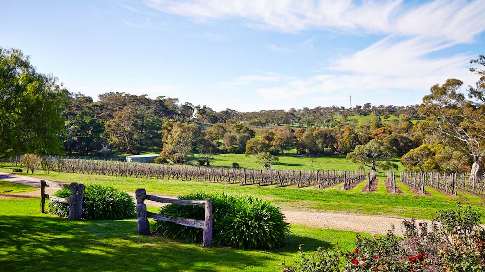 Adelaide Hills
