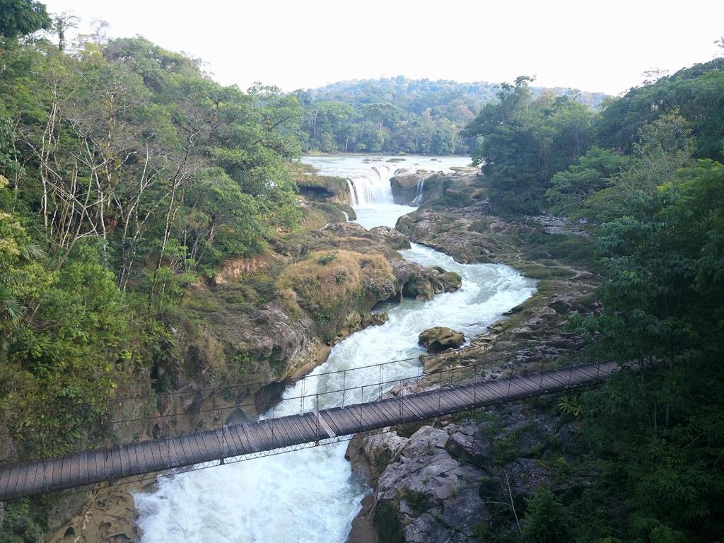 Pentingnya Peran Masyarakat dan Global