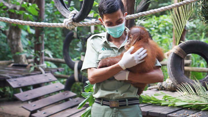 Protected Animals