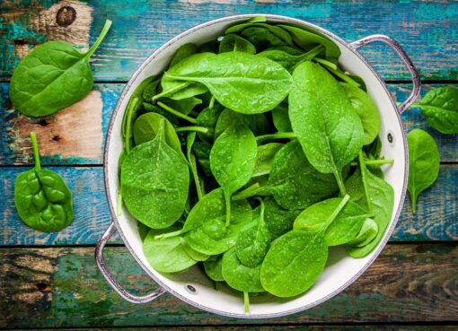 Manfaat Bayam segar berwarna hijau cerah, kaya akan nutrisi untuk kesehatan tubuh