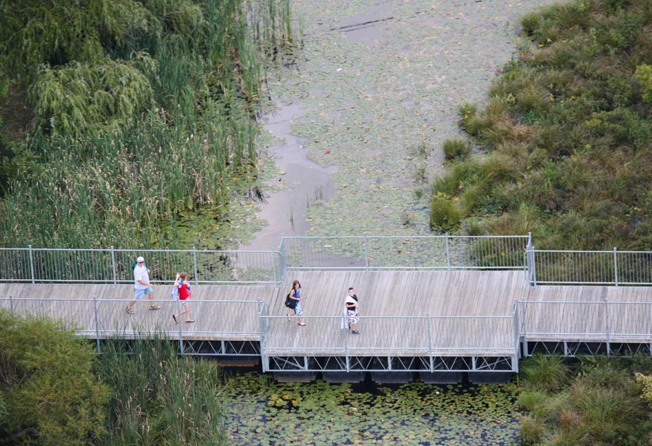 Floating Walkway: Solusi Cerdas untuk Konektivitas di Kawasan Perairan
