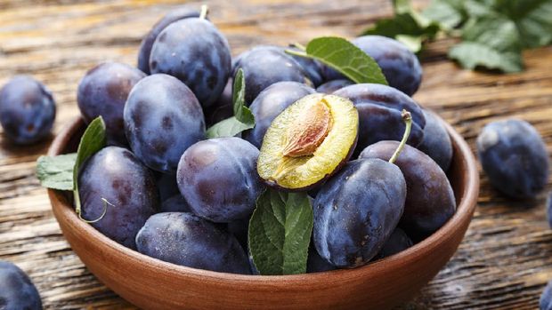 Buah Plum