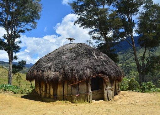 Rumah Honai