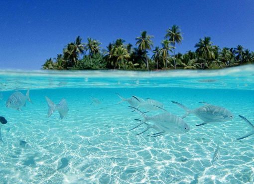 Pantai Sulamadaha: Keindahan Pasir Hitam dan Air Laut Jernih di Ternate