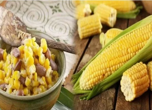 Jagung Bose