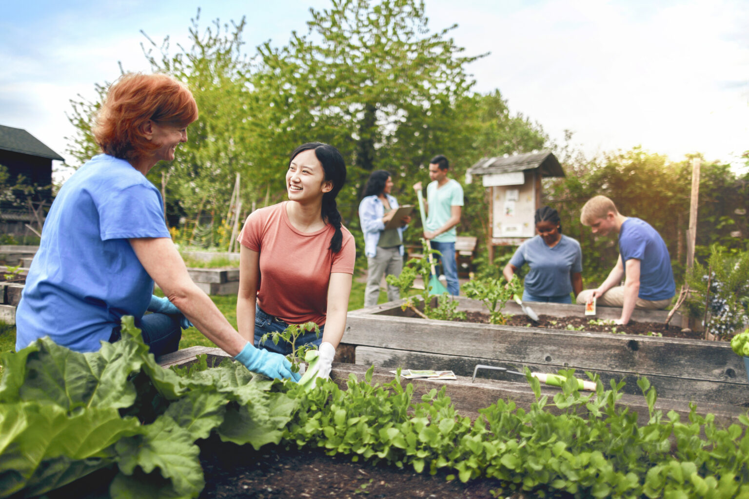 Urban Gardening: Cara Asik dan Praktis Membawa Alam ke Tengah Kota