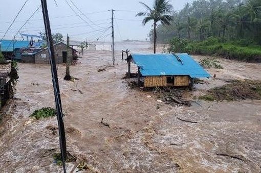 Topan Fung Wong Gigitan Angin Sang Phoenix Kisah dan Ancaman