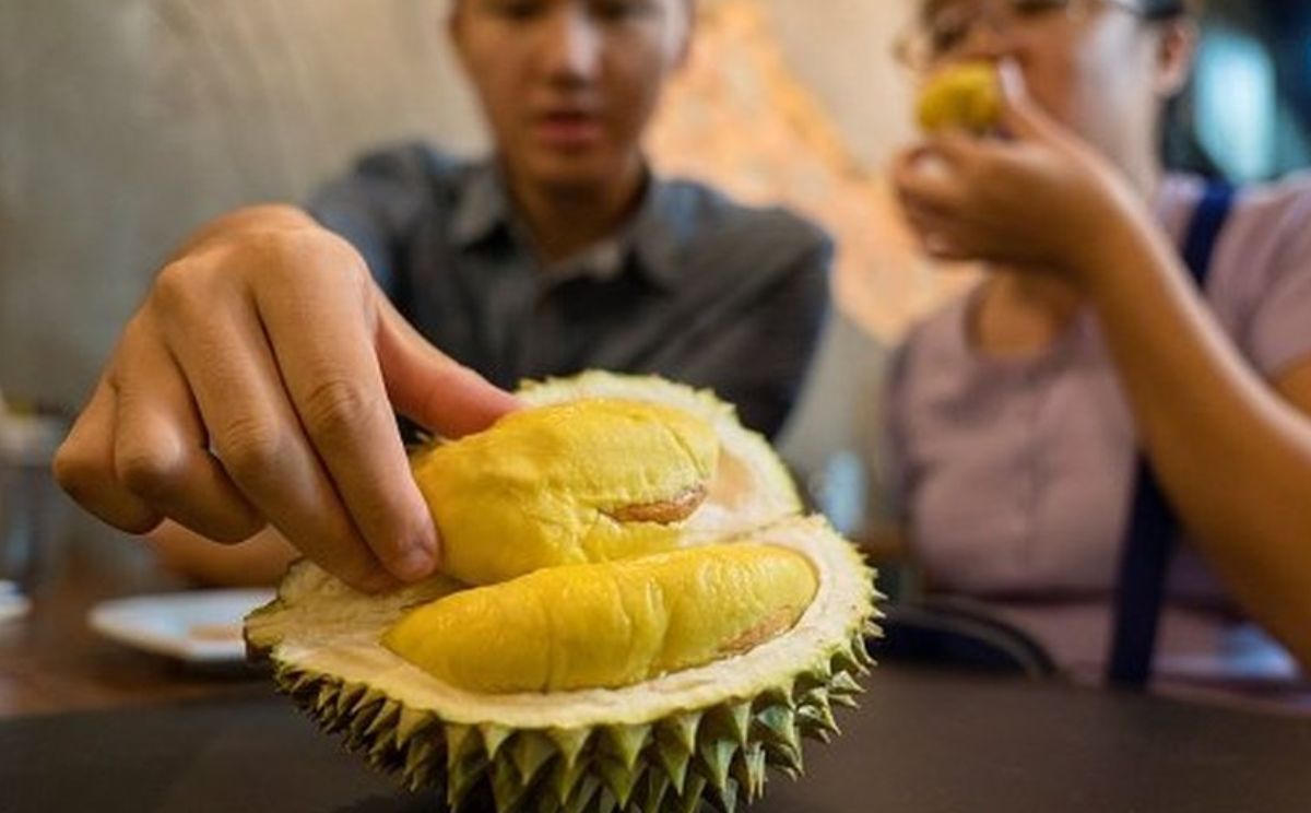 Apa Itu Mabuk Durian