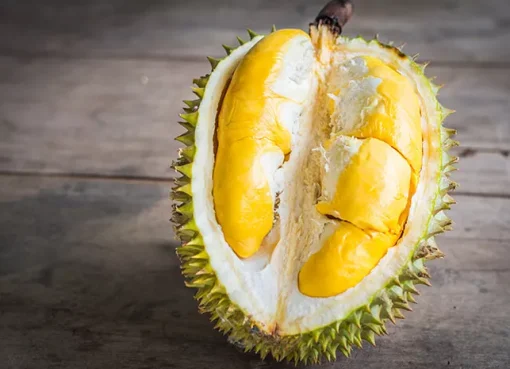 Mabuk Durian dan Dampaknya bagi Tubuh Menurut Penjelasan Medis