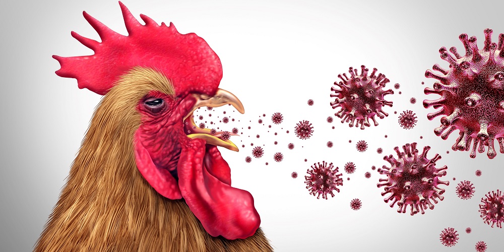 Memahami Mekanisme Virus di Balik Layar