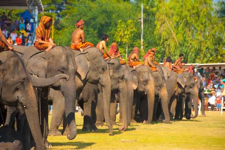 Festival Gajah Surin