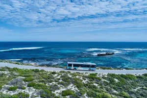 Pulau Rottnest, Surga Santai Australia yang Makin Populer 2026