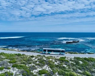 Pulau Rottnest, Surga Santai Australia yang Makin Populer 2026