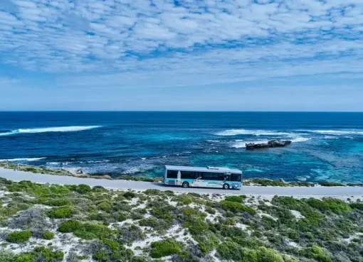 Pulau Rottnest, Surga Santai Australia yang Makin Populer 2026